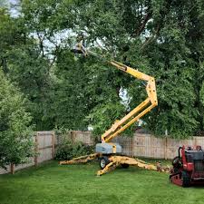 Mulching Services in Lowesville, NC